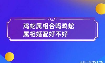鸡蛇属相合吗 鸡蛇属相婚配好不好