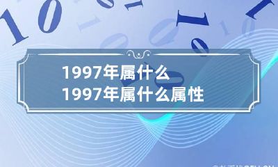 1997年属什么 1997年属什么属性
