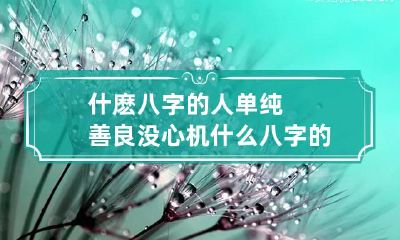 什麽八字的人单纯善良没心机 什么八字的人善良仁厚
