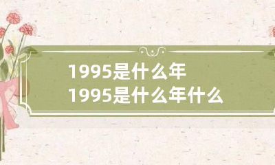 1995是什么年 1995是什么年什么命