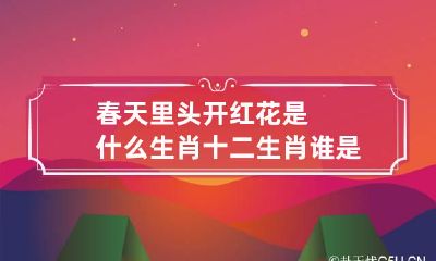春天里头开红花是什么生肖 十二生肖谁是红花