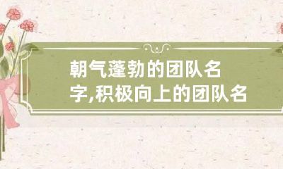 朝气蓬勃的团队名字,积极向上的团队名字