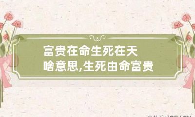 富贵在命生死在天啥意思,生死由命富贵在天是什么意思