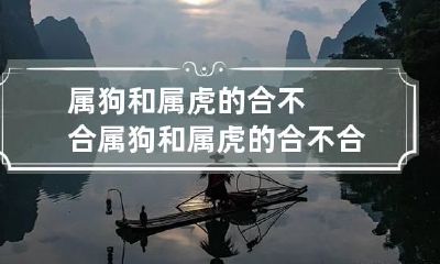 属狗和属虎的合不合 属狗和属虎的合不合适
