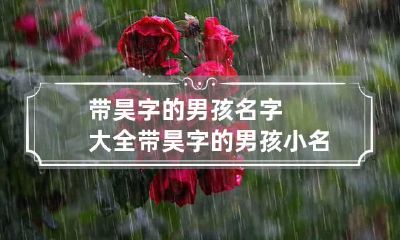 带昊字的男孩名字大全 带昊字的男孩小名