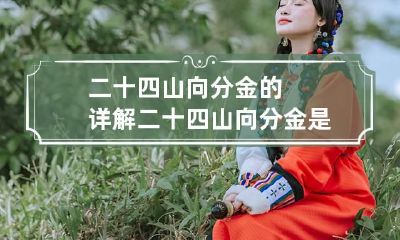 二十四山向分金的详解 二十四山向分金是什么意思