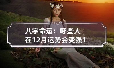 八字命运：哪些人在12月运势会变强 12月命运好不