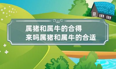 属猪和属牛的合得来吗 属猪和属牛的合适吗