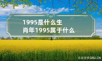 1995是什么生肖年 1995属于什么生肖啊?