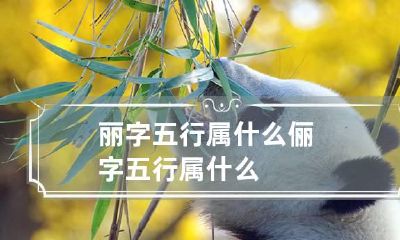丽字五行属什么 俪字五行属什么