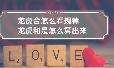 龙虎合怎么看规律 龙虎和是怎么算出来