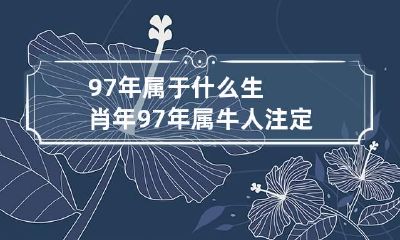 97年属于什么生肖年 97年属牛人注定的婚姻