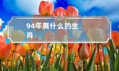 94年属什么的生肖