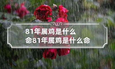 81年属鸡是什么命 81年属鸡是什么命五行缺什么