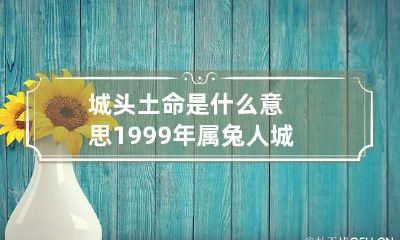 城头土命是什么意思 1999年属兔人城头土命