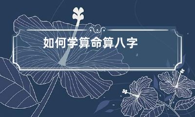 如何学算命算八字