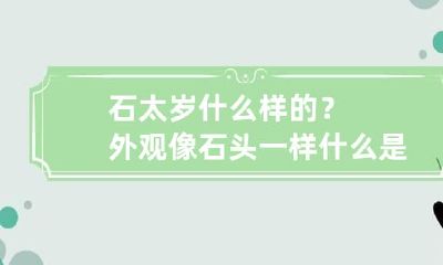 石太岁什么样的？外观像石头一样 什么是石太岁图片