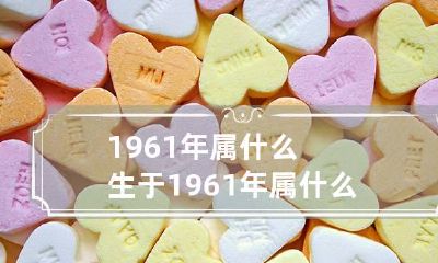 1961年属什么 生于1961年属什么