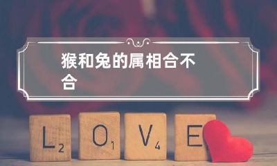 猴和兔的属相合不合