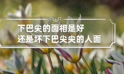 下巴尖的面相是好还是坏 下巴尖尖的人面相如何