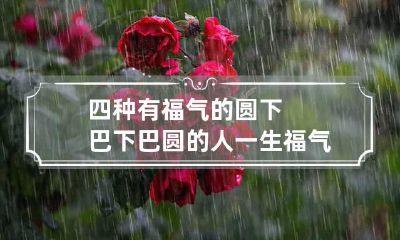 四种有福气的圆下巴 下巴圆的人一生福气满满