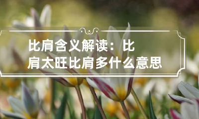 比肩含义解读：比肩太旺 比肩多什么意思