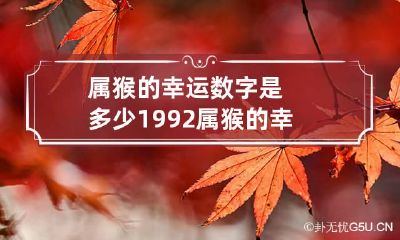 属猴的幸运数字是多少 1992属猴的幸运数字是多少