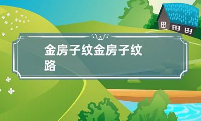 金房子纹 金房子纹路