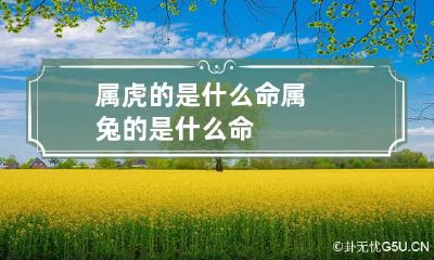 属虎的是什么命 属兔的是什么命