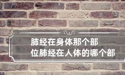 肺经在身体那个部位 肺经在人体的哪个部位