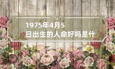 1975年4月5日出生的人命好吗是什么命