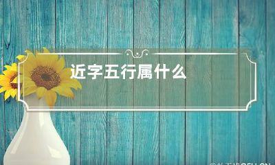 近字五行属什么