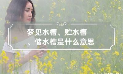 梦见水槽、贮水槽、储水槽是什么意思