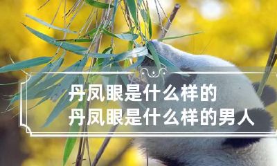 丹凤眼是什么样的 丹凤眼是什么样的男人