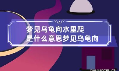 梦见乌龟向水里爬是什么意思 梦见乌龟向水里爬是什么意思周公解梦
