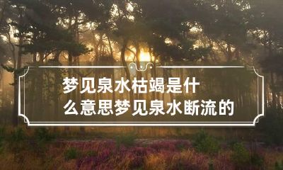 梦见泉水枯竭是什么意思 梦见泉水断流的原因