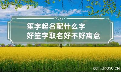 笙字起名配什么字好 笙字取名好不好寓意是什么