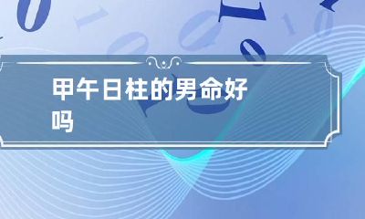 甲午日柱的男命好吗
