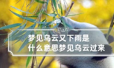 梦见乌云又下雨是什么意思 梦见乌云过来下大雨