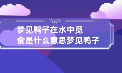梦见鸭子在水中觅食是什么意思 梦见鸭子在水里觅食