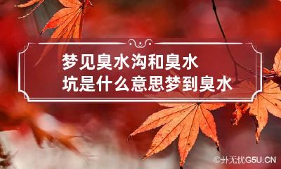 梦见臭水沟和臭水坑是什么意思 梦到臭水沟气味很大什么意思