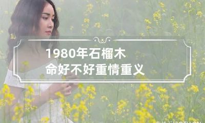 1980年石榴木命好不好 重情重义