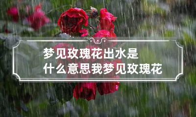 梦见玫瑰花出水是什么意思 我梦见玫瑰花