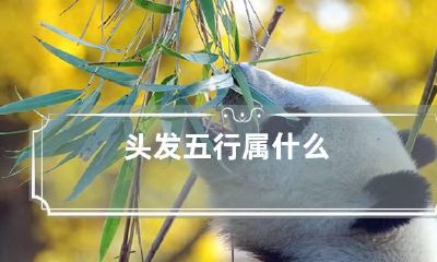 头发五行属什么