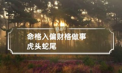 命格入偏财格 做事虎头蛇尾