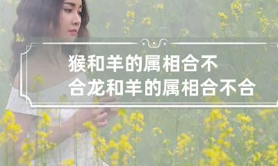 猴和羊的属相合不合 龙和羊的属相合不合