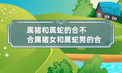 属猪和属蛇的合不合 属猪女和属蛇男的合不合