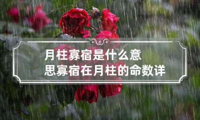 月柱寡宿是什么意思 寡宿在月柱的命数详解