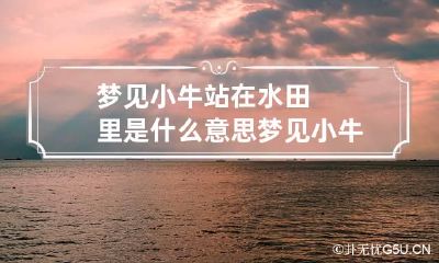 梦见小牛站在水田里是什么意思 梦见小牛向我走来