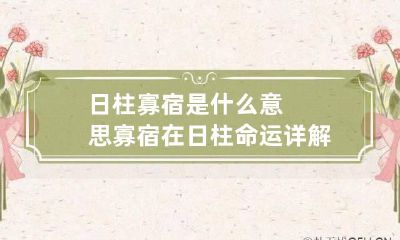 日柱寡宿是什么意思 寡宿在日柱命运详解